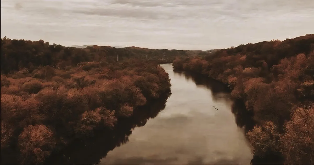An aerial view of a calm river winding through a forested landscape under an overcast sky, with the overlaid text 'i'm not…
