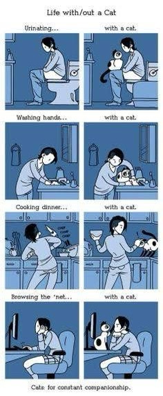 A six-panel comic strip in blue tones shows a woman performing daily tasks—urinating, washing hands, cooking, and browsing…