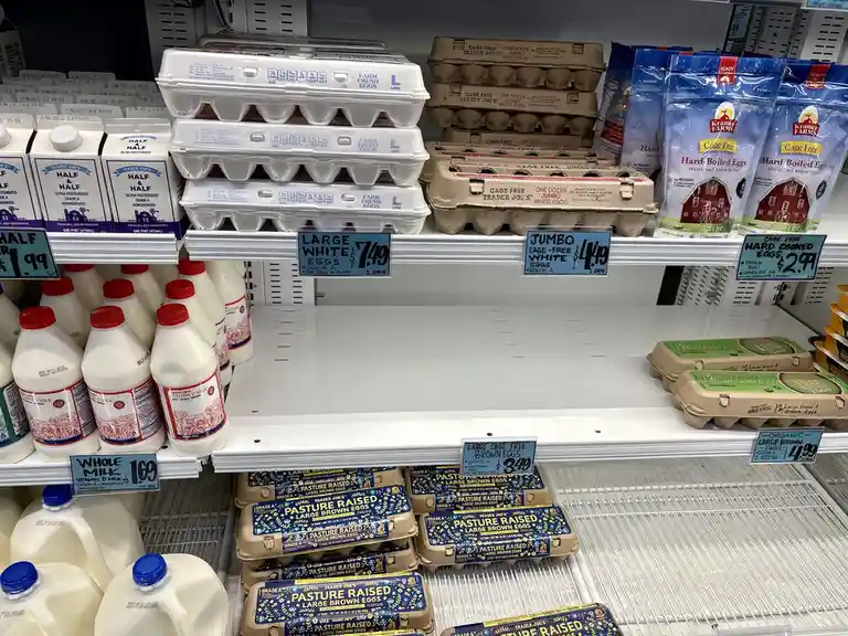A grocery store egg aisle displays various egg types with price tags, including large white eggs at $7.49, jumbo cage-free…