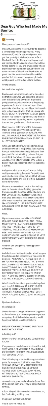 The ultimate burrito monstrosity