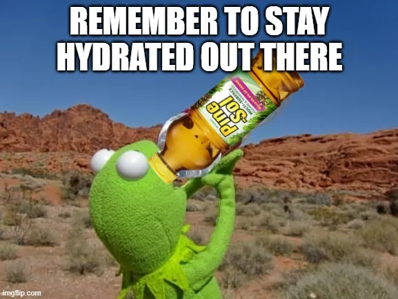 A green puppet character, Kermit the Frog, is shown in a desert landscape holding a large bottle of Powerade and drinking…