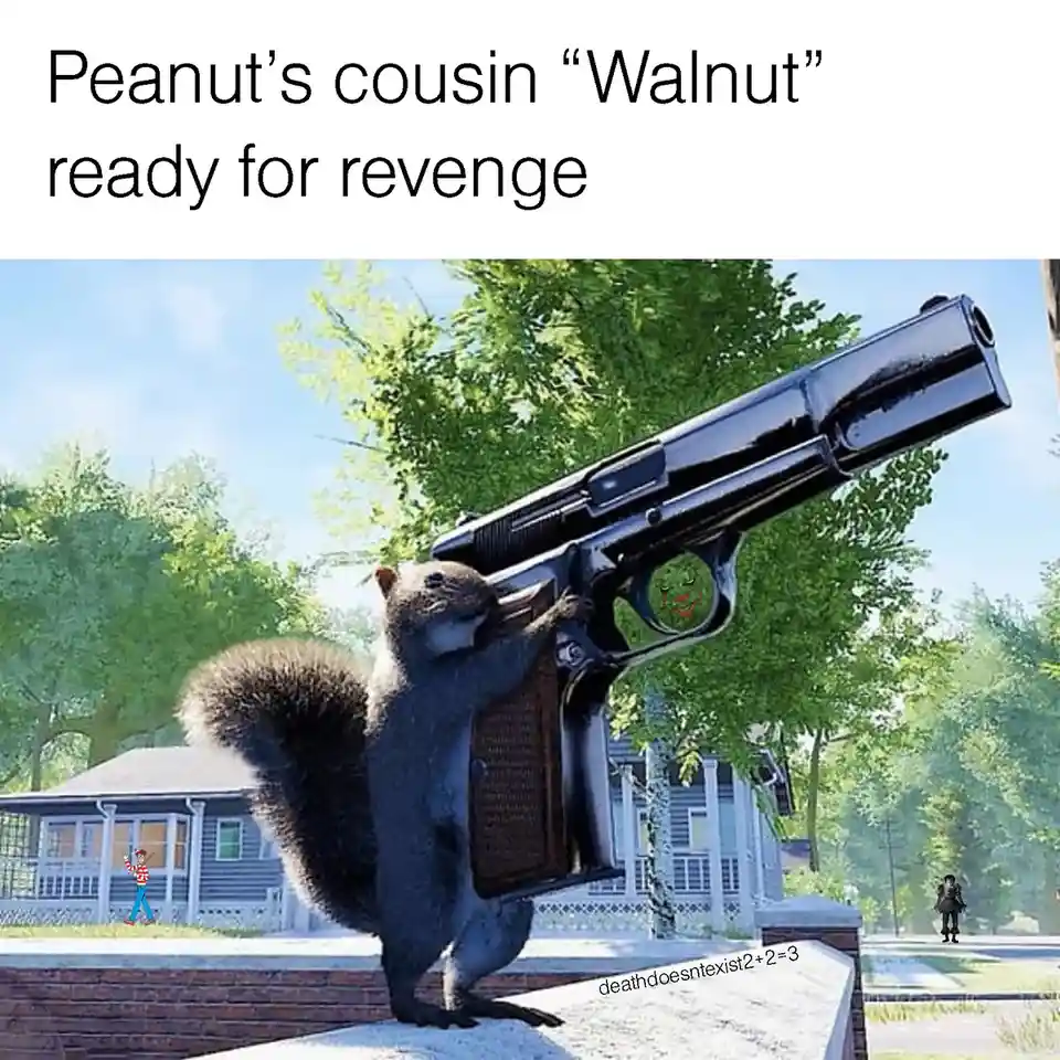 A digitally altered image shows a squirrel standing upright on a brick wall, holding an oversized, realistic-looking handgun…