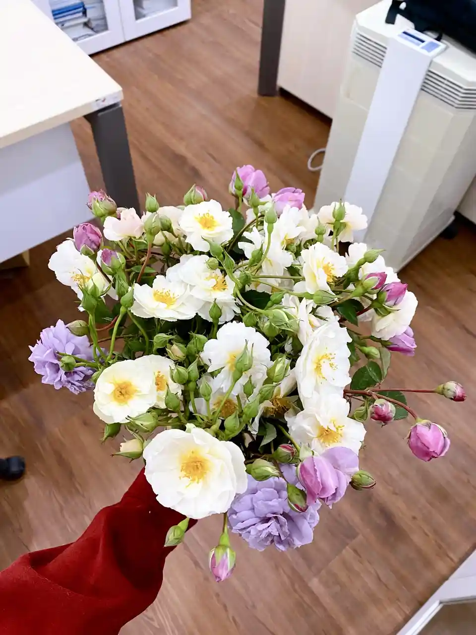 A hand in a red sleeve holds a large bouquet of white, pink, and purple roses with many green buds, set against an office…