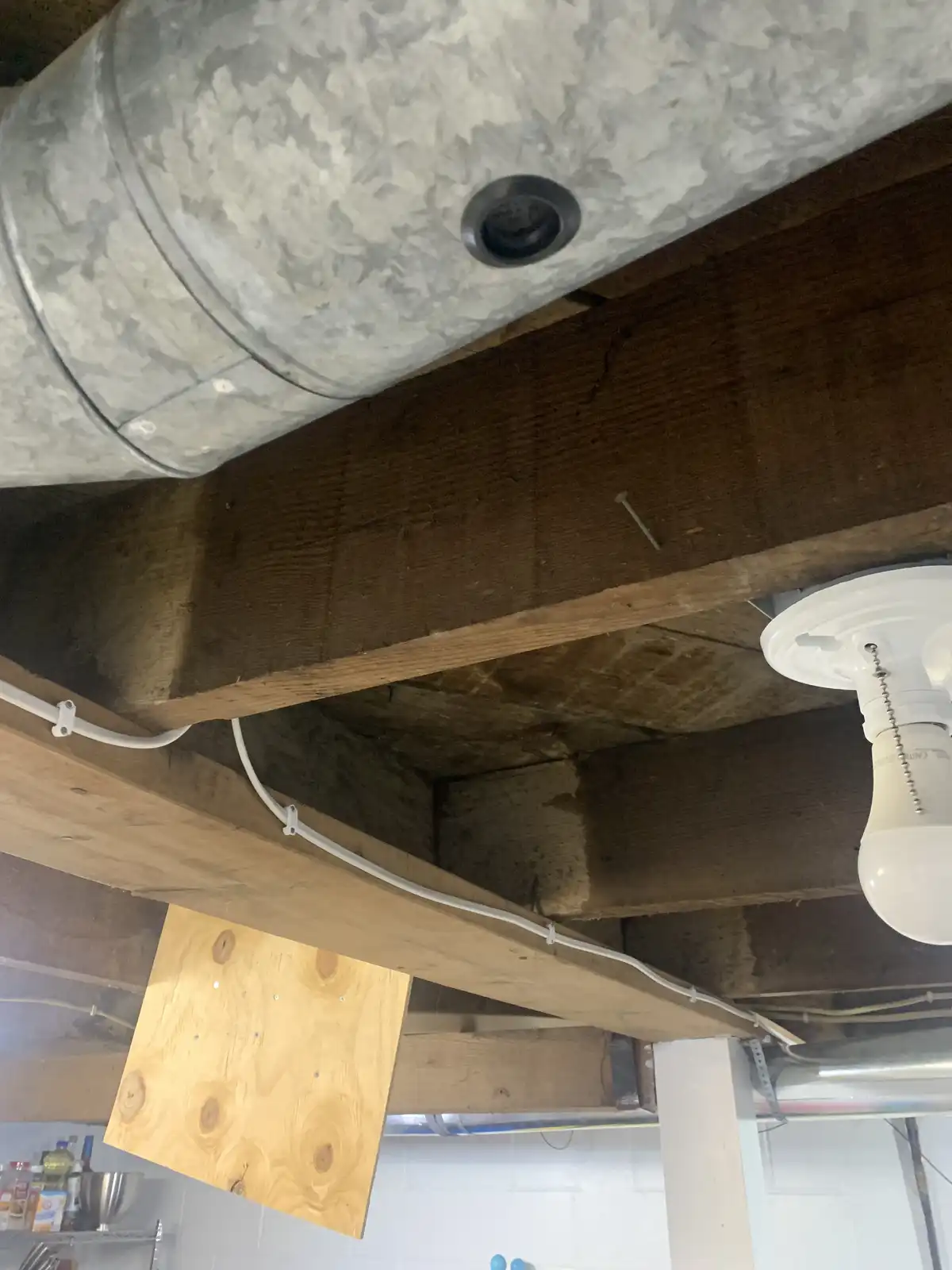 A low-angle photo of a basement ceiling showing exposed wooden beams, galvanized metal ductwork, a hanging light bulb, and a…