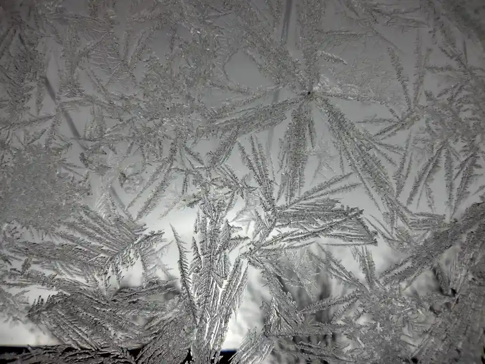 A close-up photograph of intricate, crystalline frost patterns covering a glass surface, resembling delicate snowflakes. The…