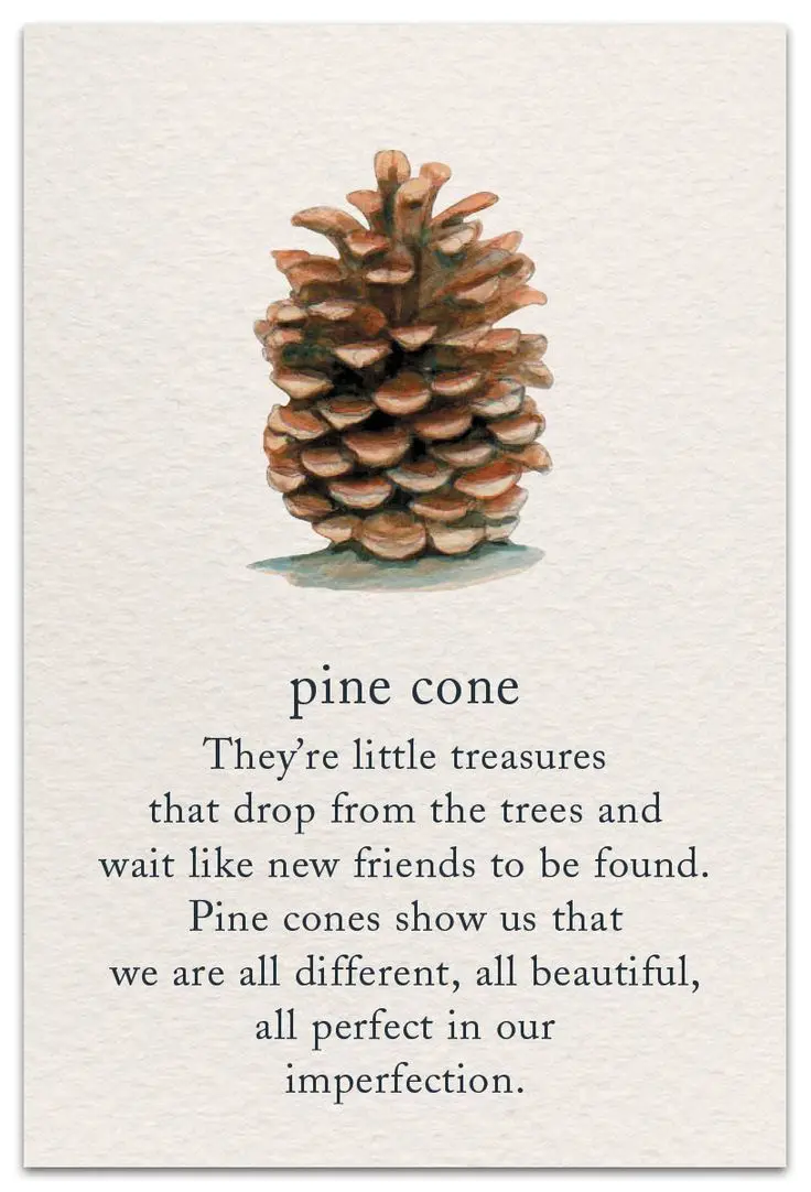 A watercolor illustration of a pine cone on textured paper, overlaid with text that calls it a 'pine cone' and describes it…