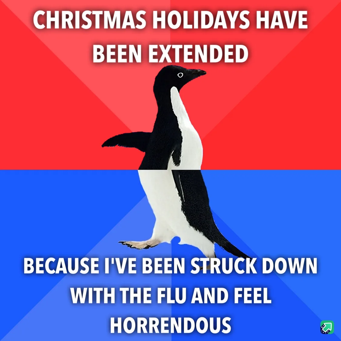 A black-and-white penguin stands centered against a red-and-blue background, with white text overlaid in two sections. The…