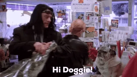 A six-panel meme showing a man in a black hoodie repeatedly saying 'Hi Doggie!' to a pug dog while another person stands…