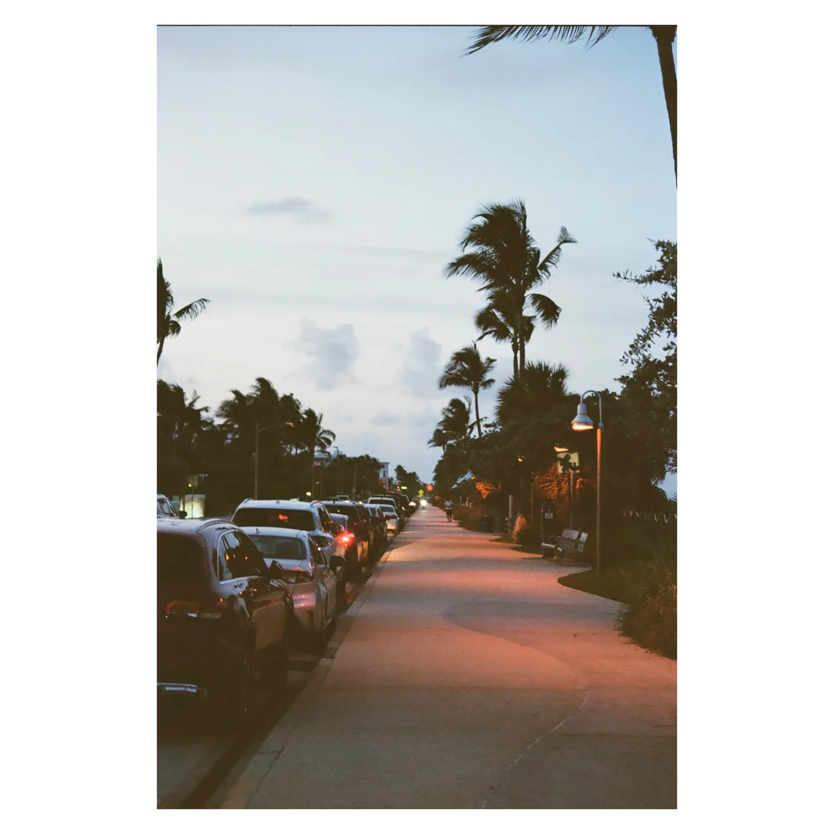A serene, dusk-lit street lined with palm trees and parked cars, with a sidewalk bathed in warm streetlight. The overlaid…