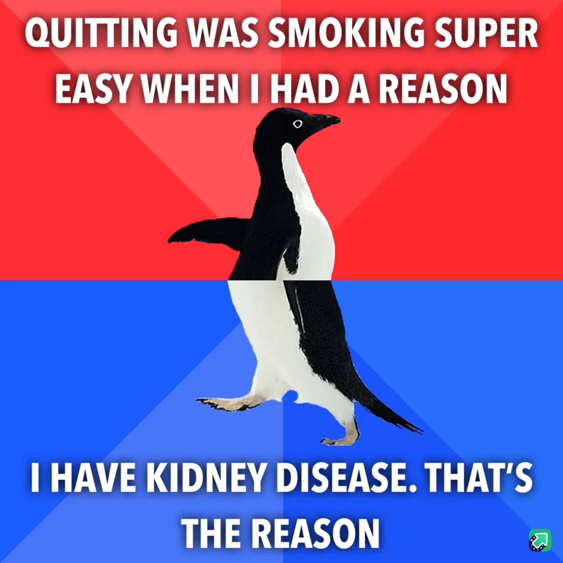 Just Your Average Nephrology Moments...