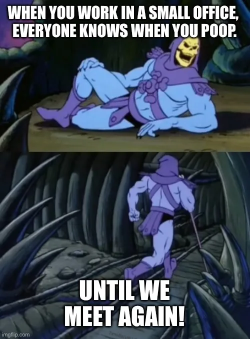 The meme features two panels from the animated series 'He-Man and the Masters of the Universe'. The top panel shows Skeletor…
