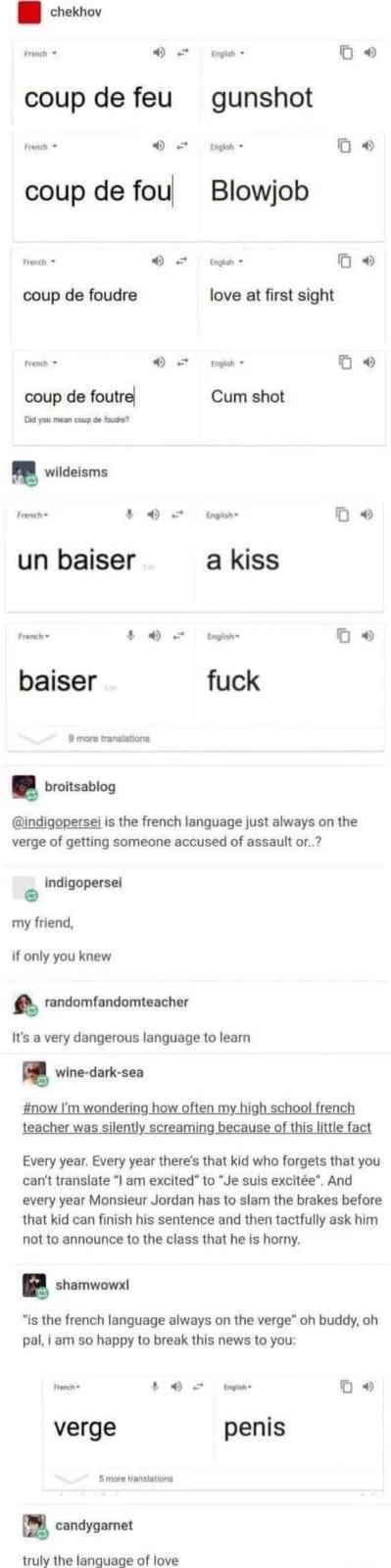 A screenshot of a French-English dictionary app showing translations like 'coup de fou' = 'blowjob' and 'baiser' = 'fuck'…