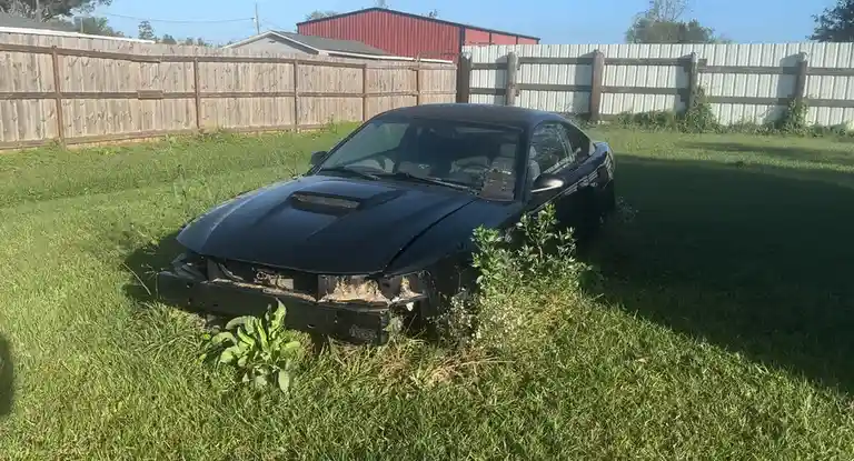 This abandoned Mustang is crying out for some love!