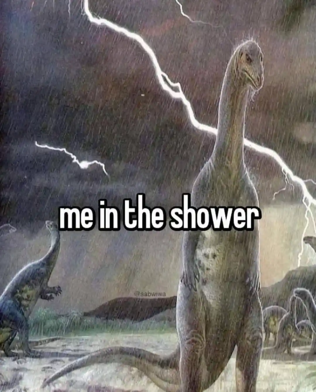 A Hilarious Collection of Memes Vol 388