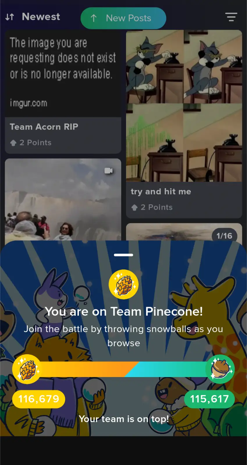 Let's Rally, Team Pinecone! We've Got This!