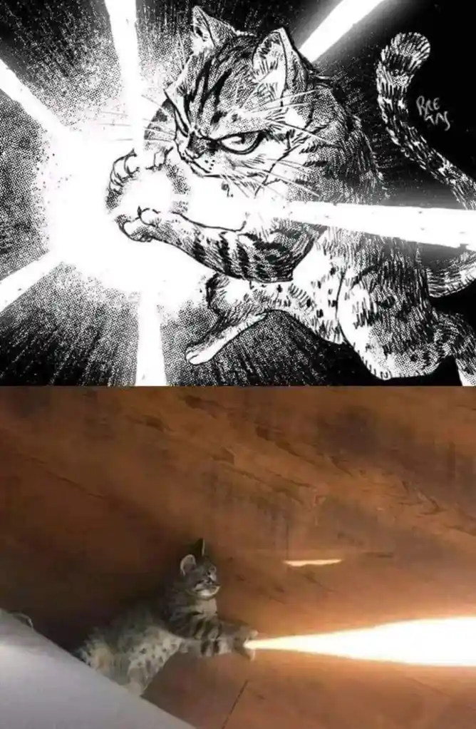 The top panel shows a manga-style drawing of a tabby cat with an angry expression, punching forward with a bright white…