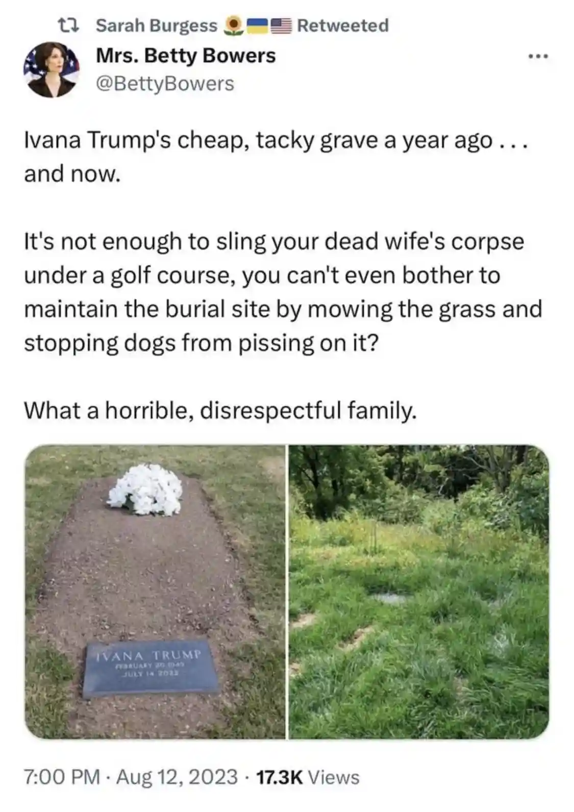 Another Nail Missed: The Coffin Chronicles