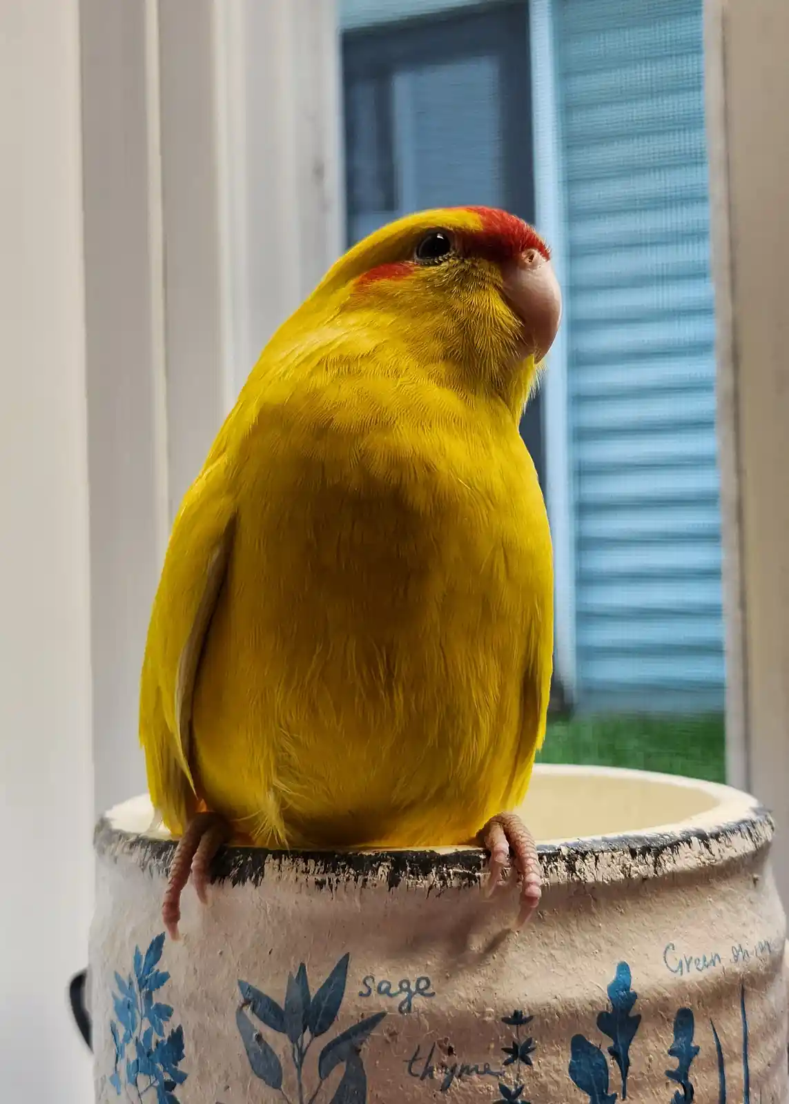 My adorable little princess