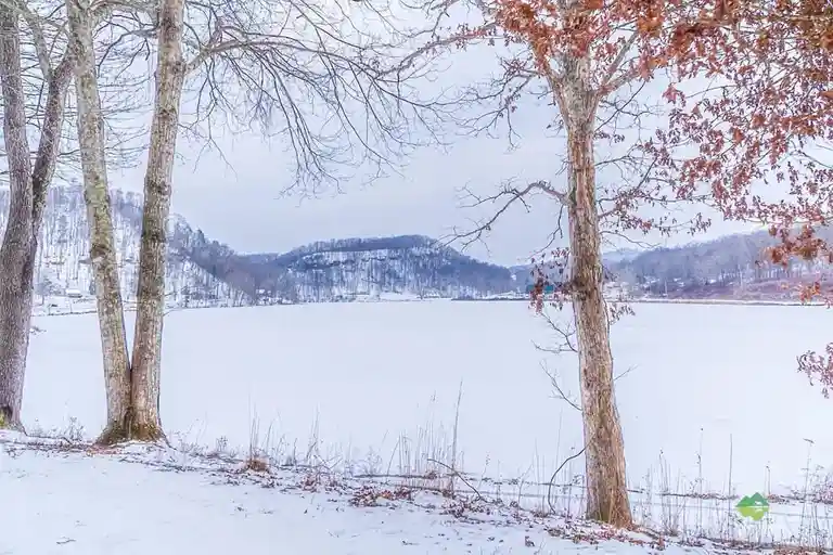 A serene winter scene shows a frozen lake surrounded by snow-covered trees and distant hills under an overcast sky. One tree…