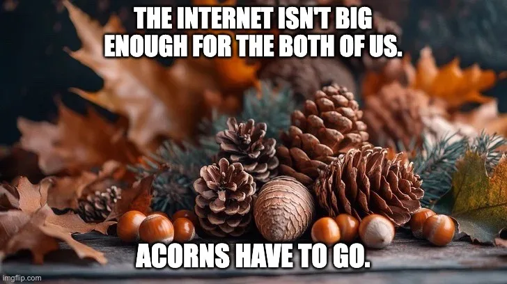 Farewell, Acorns! It's Time to Say Goodbye!