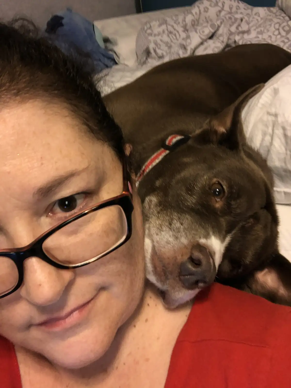 A person wearing glasses and a red shirt lies in bed, smiling slightly while a brown dog with a white muzzle and…