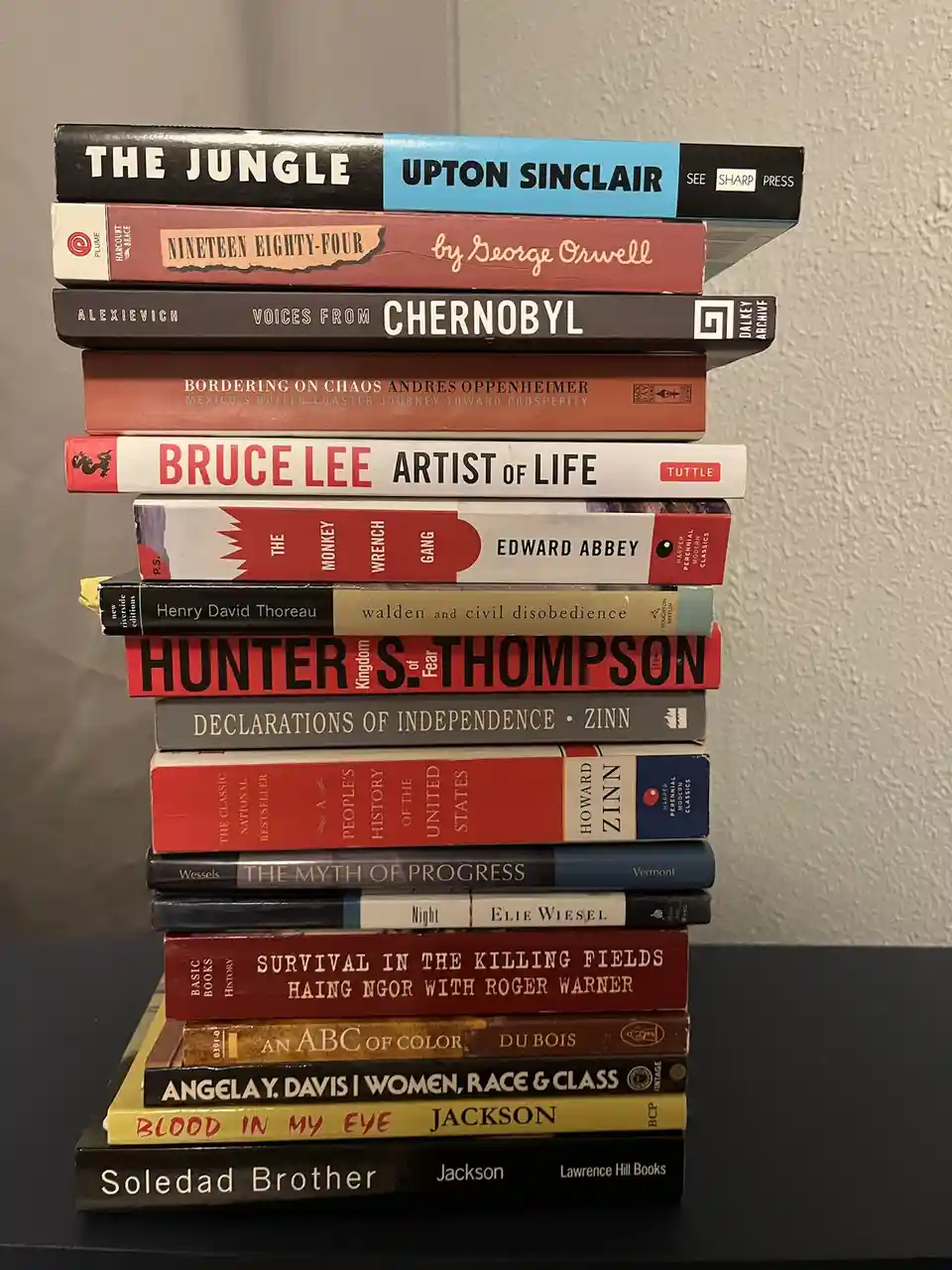 A tall stack of books with visible spines showing titles like 'The Jungle', '1984', 'Chernobyl', 'Bruce Lee: Artist of…