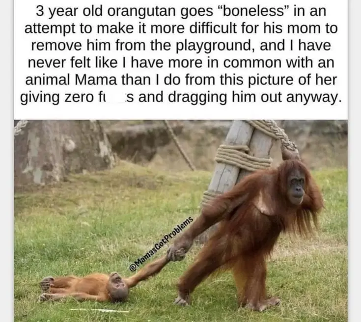 Parenting: A Universal Experience