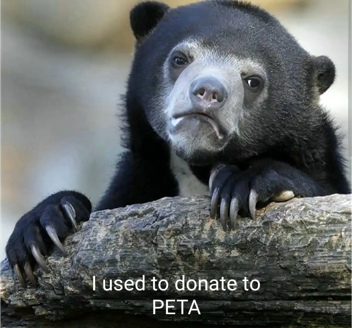 A Pescatarian's Honest Confessions