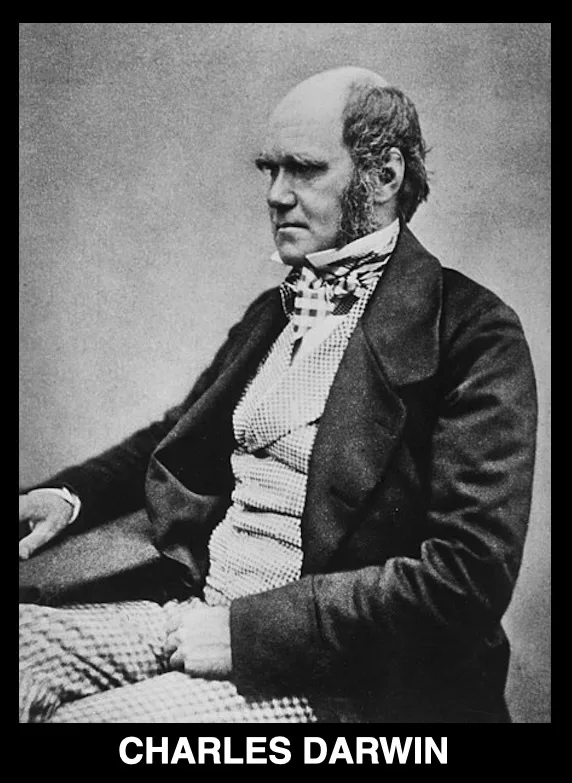 A black-and-white historical portrait of Charles Darwin, showing him seated, wearing a dark coat over a patterned vest and…