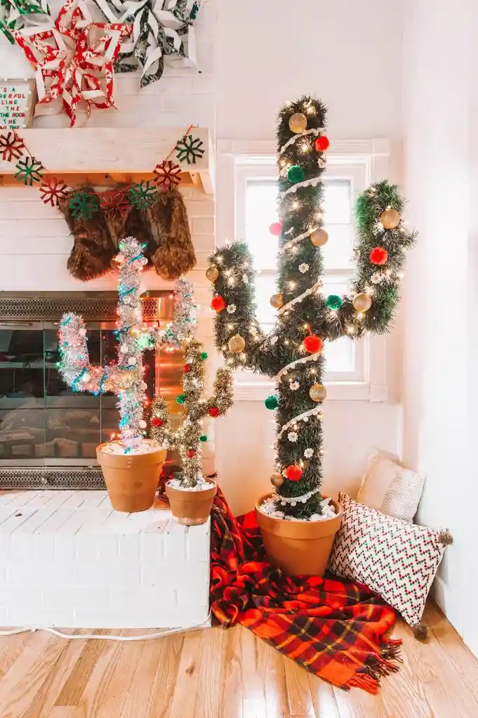 Behold the beautiful Christmas Cactus!