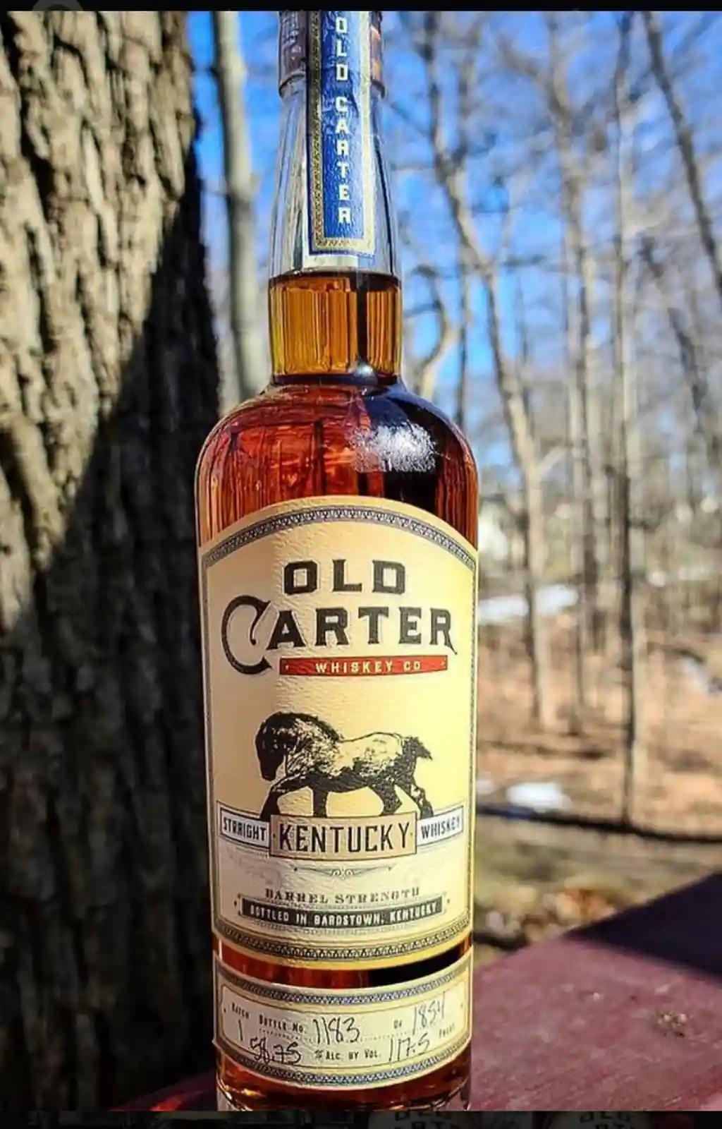 A bottle of Old Carter Straight Kentucky Whiskey, labeled 'Barrel Strength' and 'Bottled in Bardstown, Kentucky', stands…