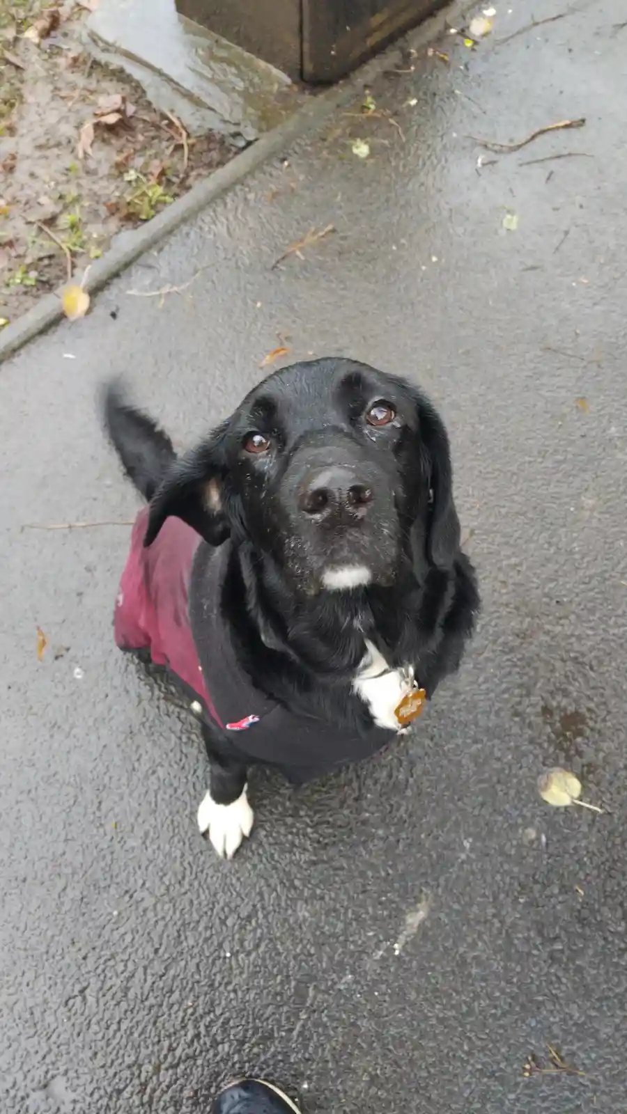 George Rocking His Cozy Winter Coat
