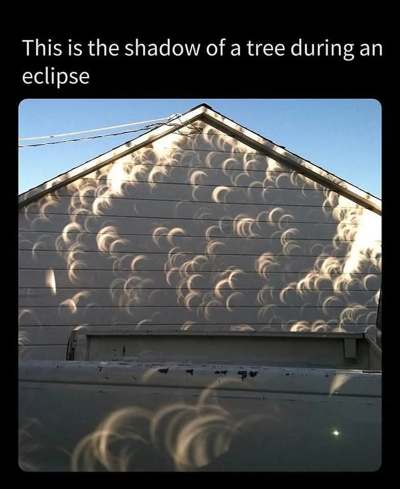The image shows the side of a house with a gabled roof, where sunlight filters through tree leaves, casting numerous…