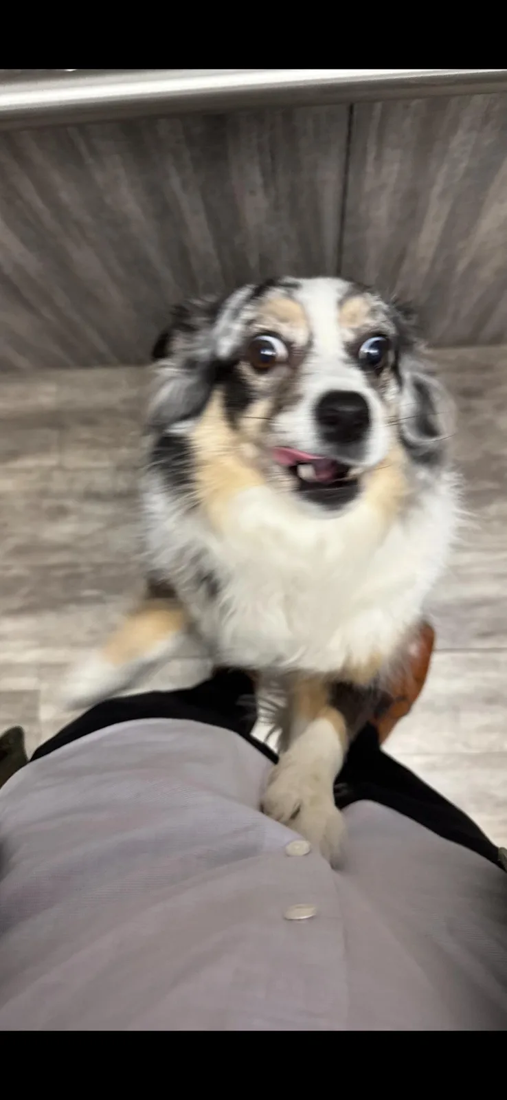 Celebrating Cake Day with Fiona