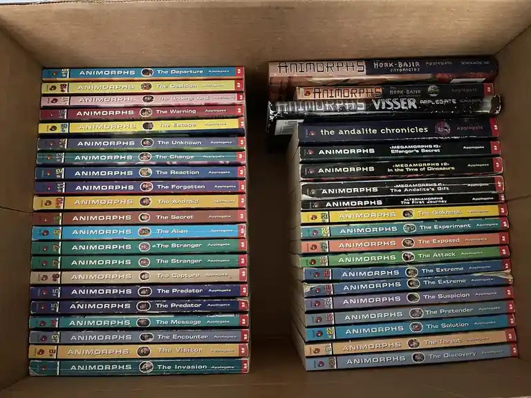 Two stacks of 'Animorphs' paperback books are arranged inside a cardboard box, with titles like 'The Invasion', 'The…