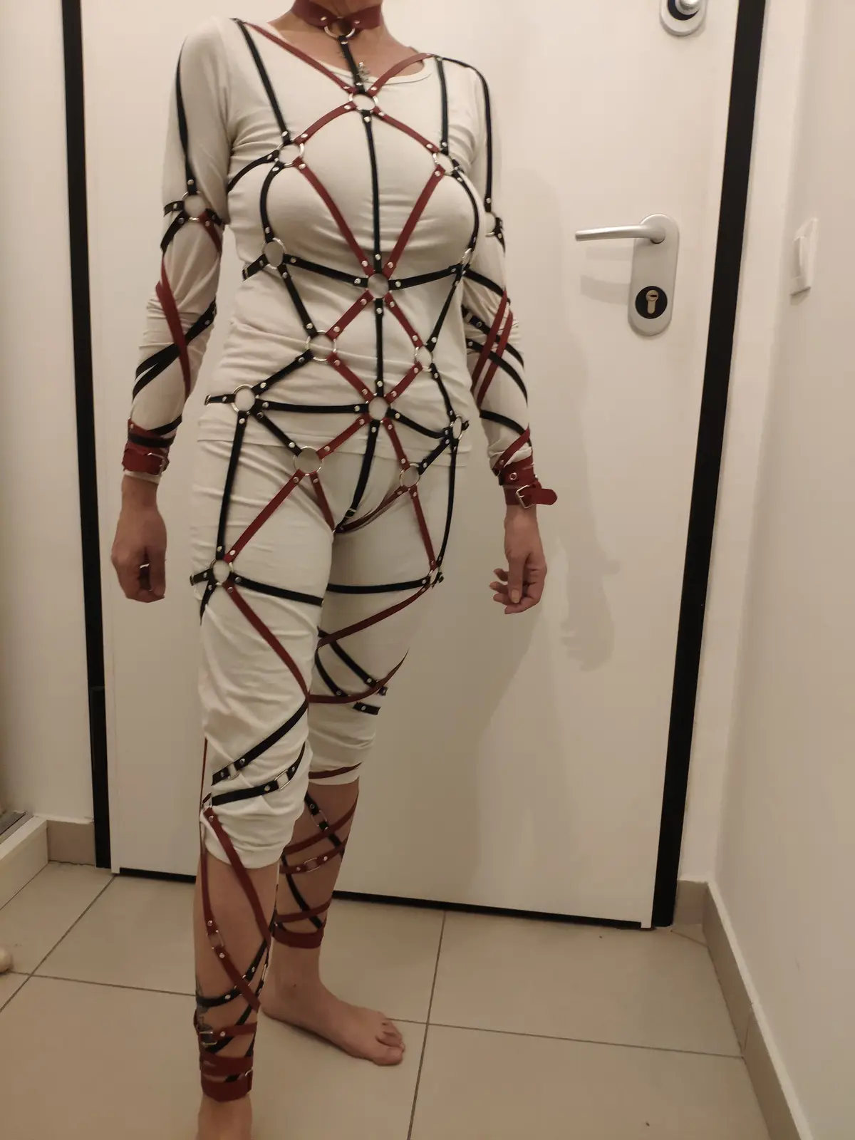 Crafted to Perfection: Finished Leather Harness