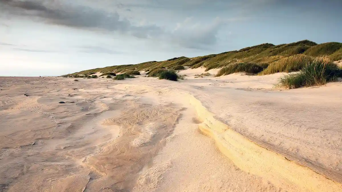 On Denmark's north coast, Saltum Beach is a haven for relaxation and adventure. Cars cruise along the hard-packed sand…