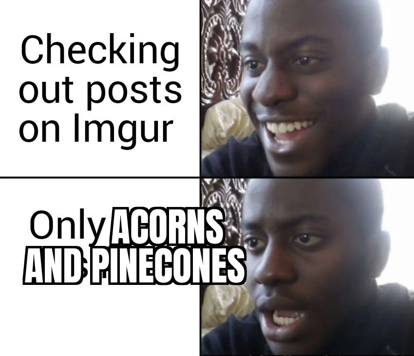 A two-panel meme featuring a man with a wide, happy smile in the top panel labeled 'Checking out posts on Imgur', and the…