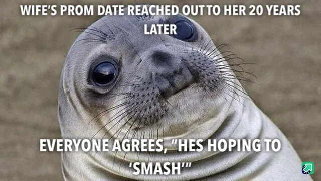 Dude, seriously!