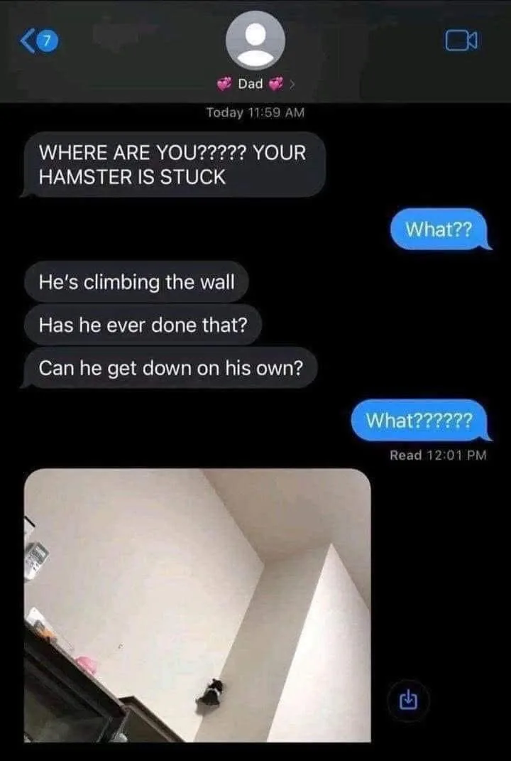 A screenshot of a text conversation between a child and their dad, where the dad urgently asks where the child is because…