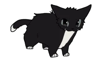 Six panels show a black cartoon cat with a white chest and paws in various poses, appearing to walk or run in a looped…
