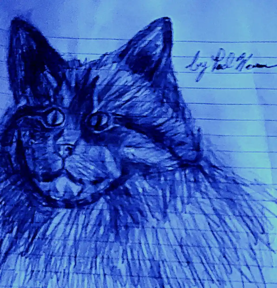 A blue-tinted pencil sketch of a cat's head and shoulders on lined notebook paper, with the handwritten signature 'by Paul…