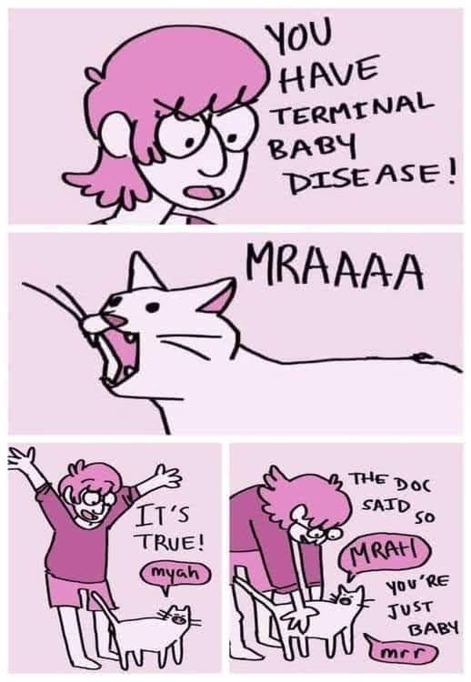 A four-panel comic strip shows a pink-haired woman receiving a shocking diagnosis from a doctor, then reacting with…
