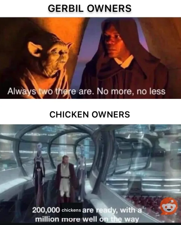 The top panel shows Yoda and Mace Windu from Star Wars, with text reading 'Always two there are. No more, no less,' labeled…