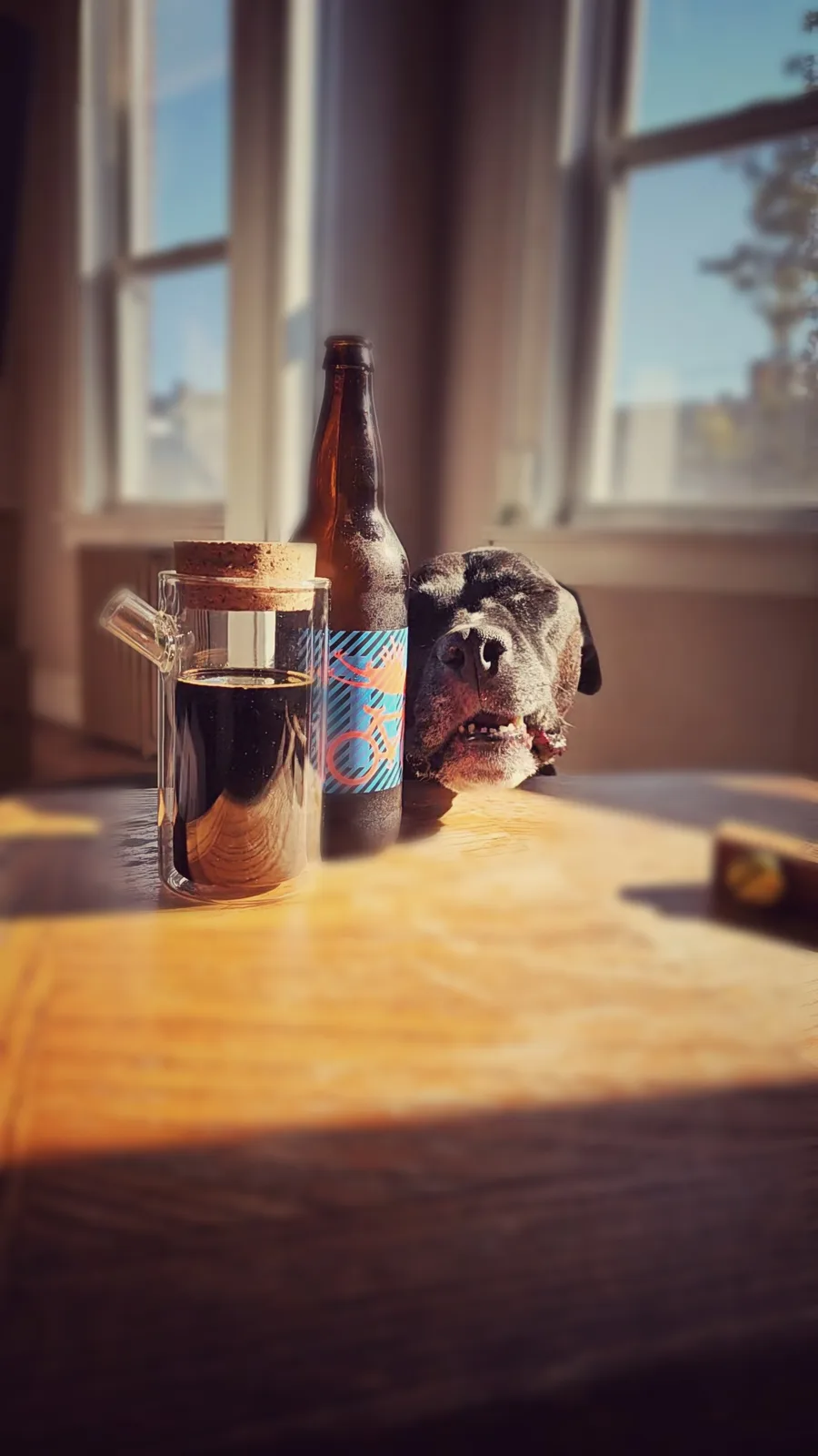 A black dog with a slightly open mouth rests its head on a wooden table next to a glass mug with a cork stopper and a brown…