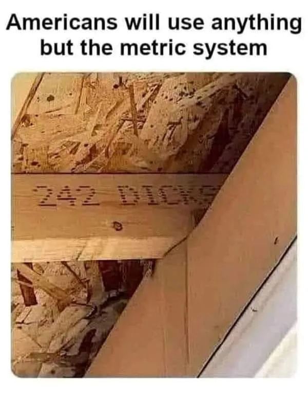 A close-up photo of a wooden beam in a construction site, with the words '242 DICKS' visibly carved into its surface. Above…