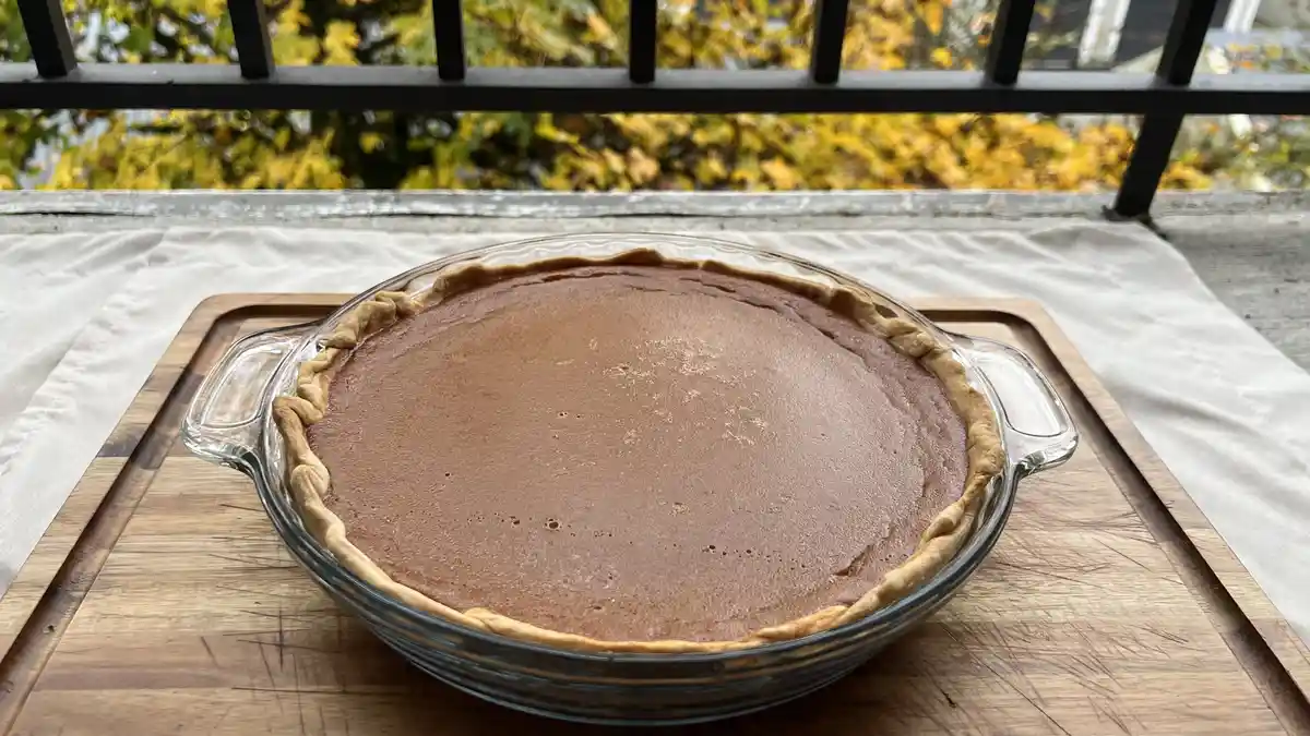Just a cool pie enjoying the PNW vibes!