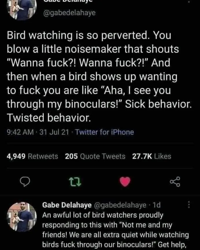 The Internet's Hilarious Take on Birdwatching