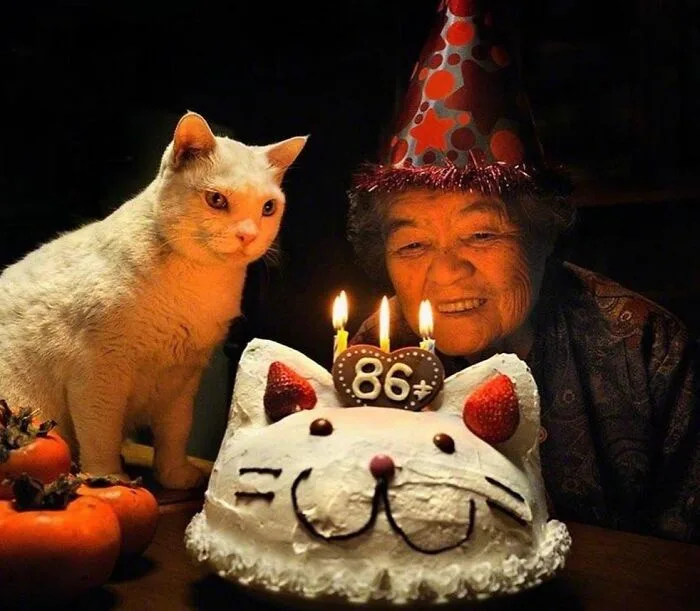 An elderly woman wearing a party hat smiles beside a white cat, both looking at a cat-shaped birthday cake with three lit…