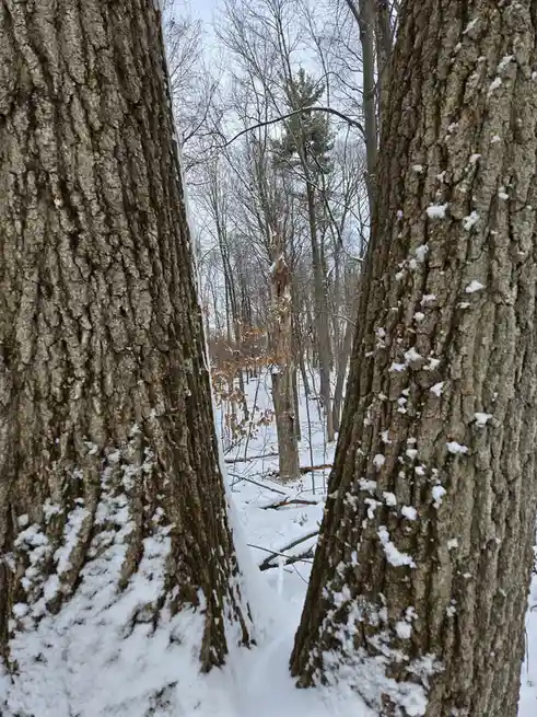 The Great MI Hike Adventure